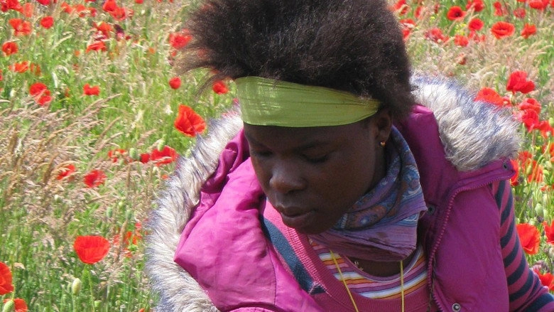 Afrykanski Sen (2008)