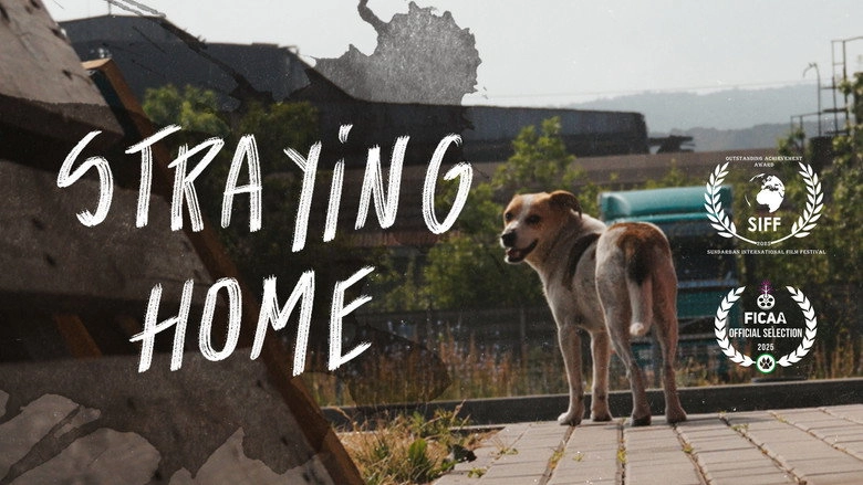 Straying home (2025)