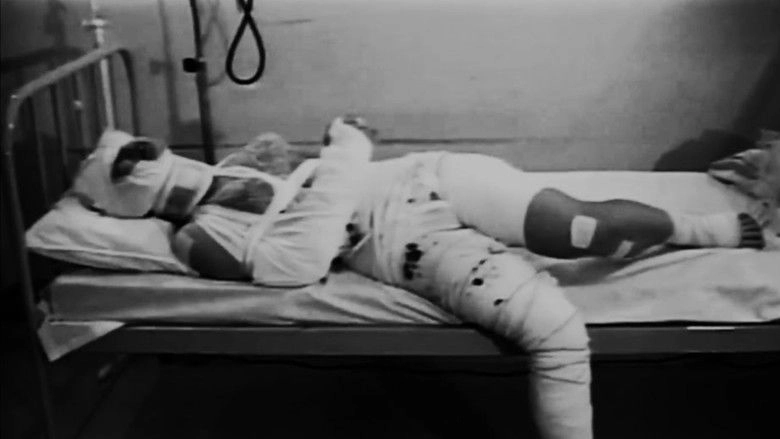 L'etudiante Blessee (1995)