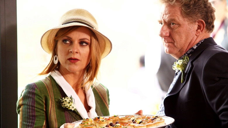 Nemici Amici - I Promessi Suoceri (2011)