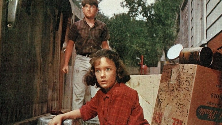 A Tiger Walks (1964)