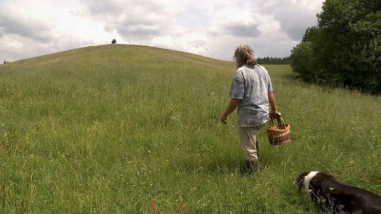 Auf Der Suche Nach Heilern (2014)