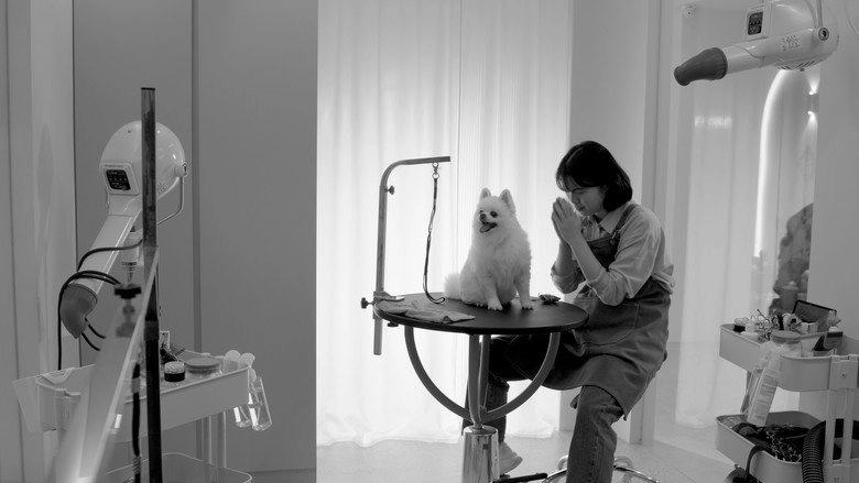 Good Dog's Life (2024)