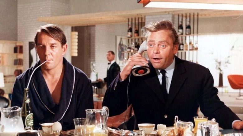 The Girl And The Playboy (1965)