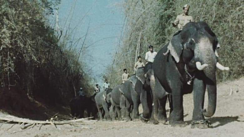 India: Matri Bhumi (1959)
