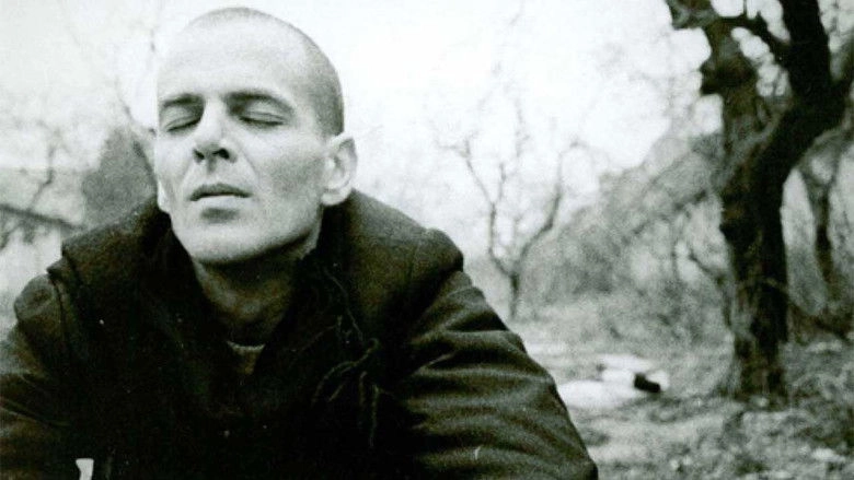 Girotondo, Giro Attorno Al Mondo (1999)