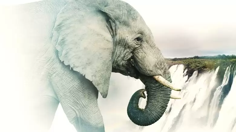 Victoria Falls: Africa's Garden Of Eden (2021)