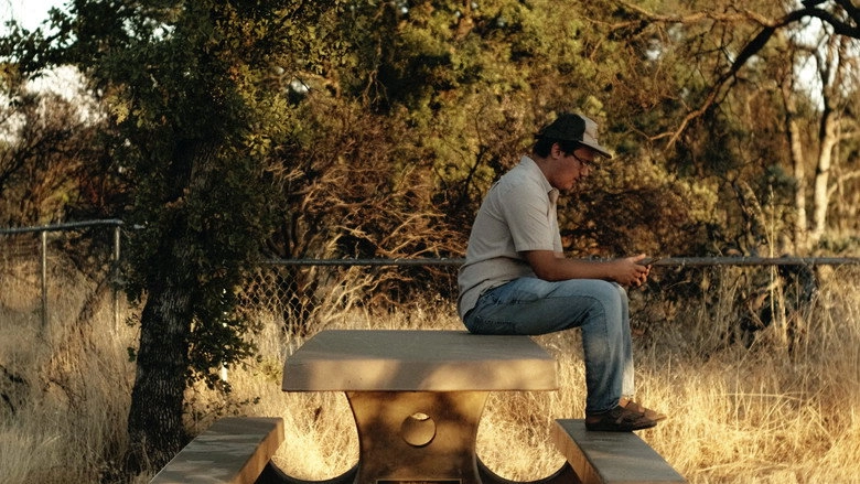 Reflections (2024)