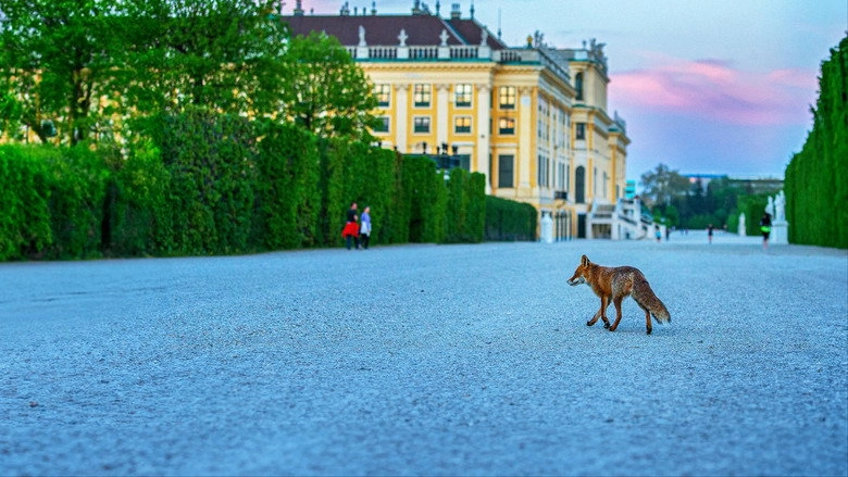 Wild Vienna (2025)