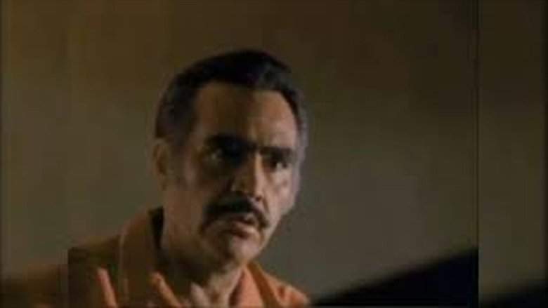 Mi Querido Viejo (1991)