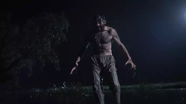 Wer (2013)