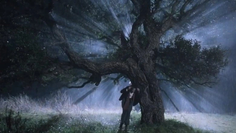 The Voice Of The Moon (1990)