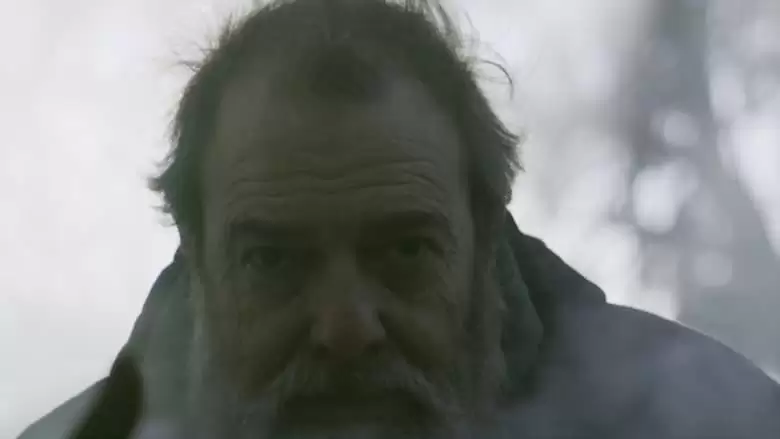 Smoke Between Trees (2019)