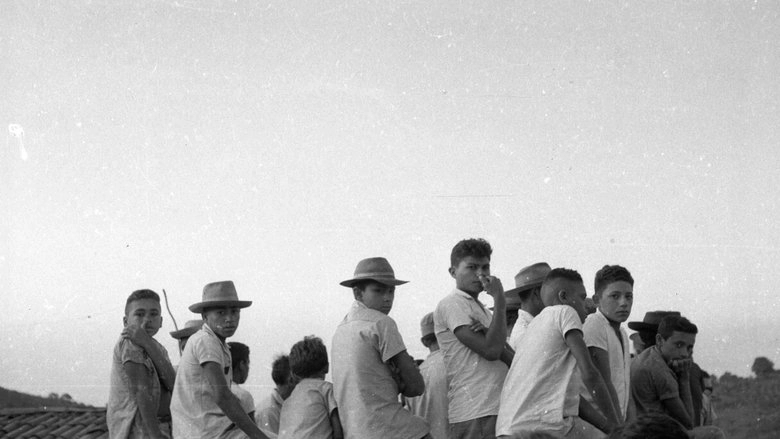 Maioria Absoluta (1964)