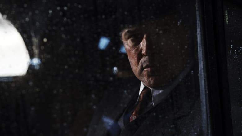 Ve Stinu (2012)
