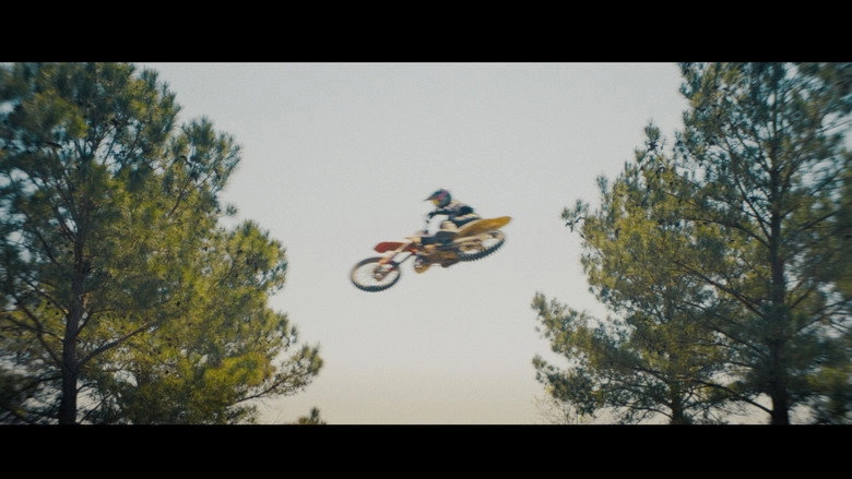 Reflex (2026)