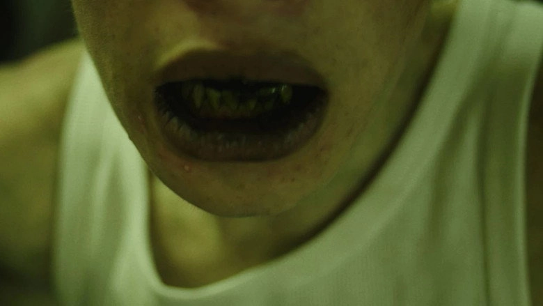 Disease (2025)