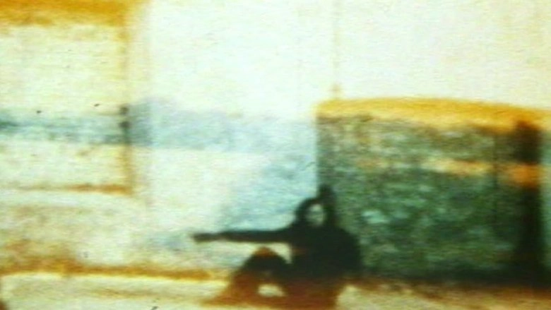 In The Shadow Of The Sun (1981)