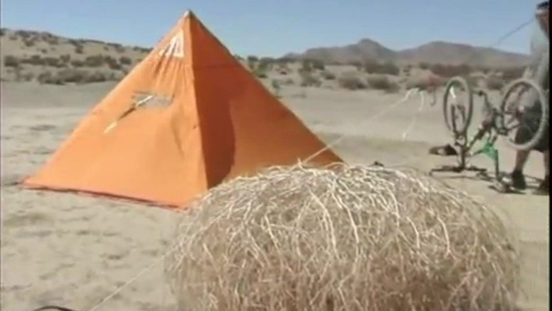 She Can't Say No (2004)