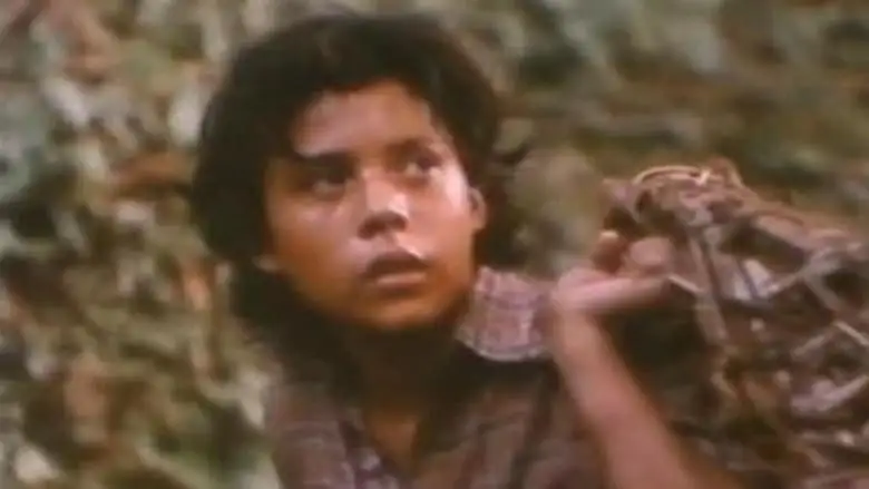 Alsino And The Condor (1982)
