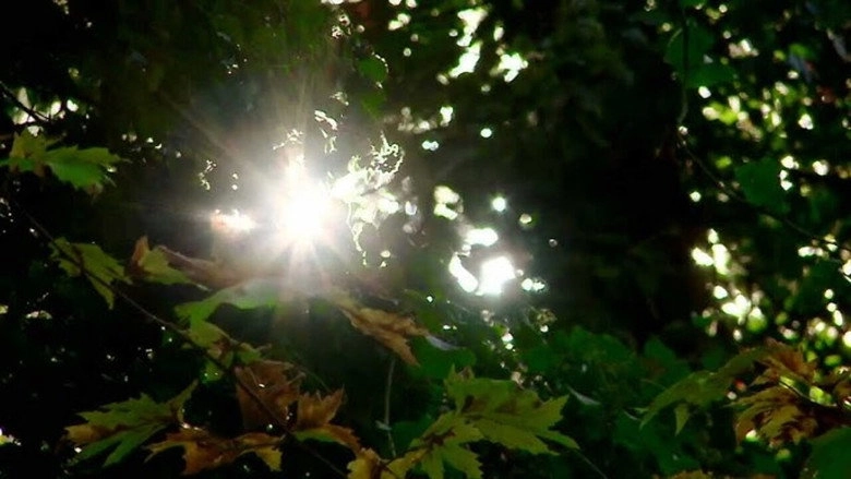 Hrysos Sta Hronia Tis Krisis: O Thisavros Tis Kassandras (2012)