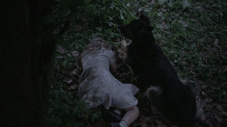 Lloren La Locura Perdida De Estos Campos (2019)