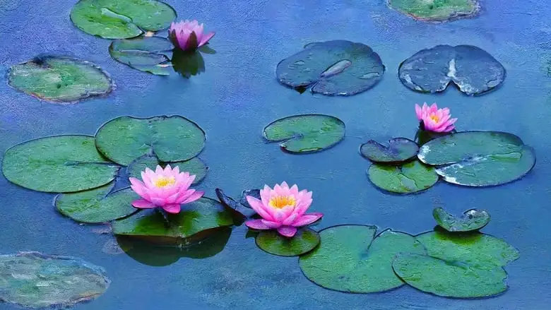 Water Lilies Of Monet - The Magic Of Water And Light (2018)