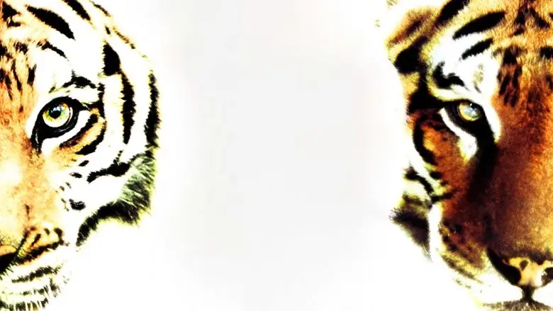 Two Brothers (2004)