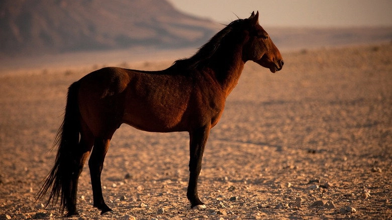 Africa's Wild West (2015)