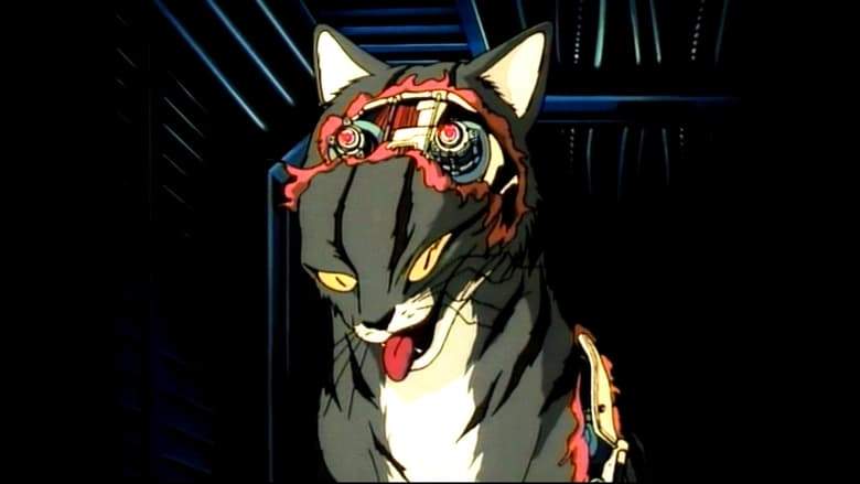 Lily C.A.T. (1987)