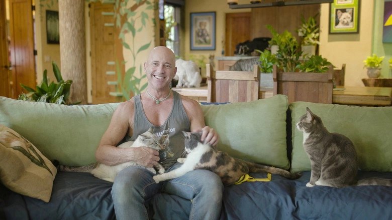 Cat Empire (2019)