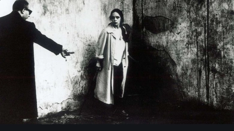 Mirror Reflection (1992)