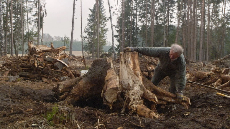 Over The Years (2015)