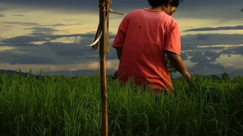 Sawan Baan Na (2009)