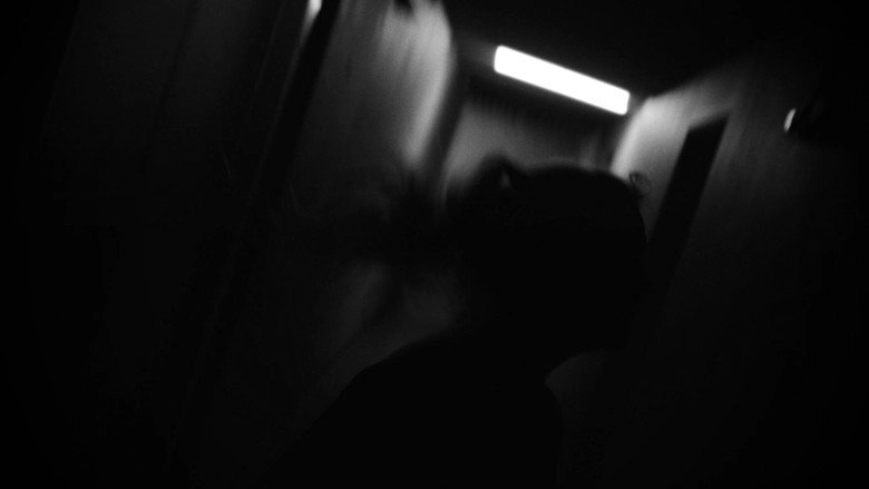Collapsing (2022)