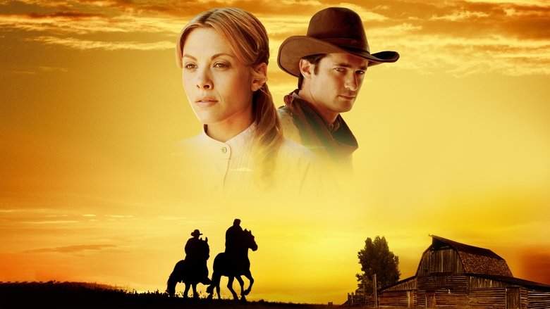 Love Begins (2011)