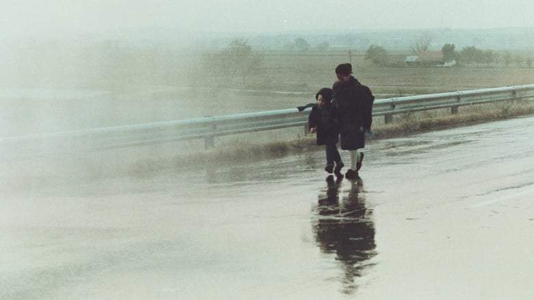 Landscape In The Mist (1988)