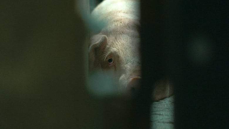 L'usine Des Animaux (2023)