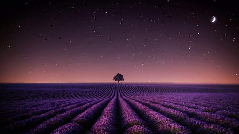 Adieu Aurora (2022)