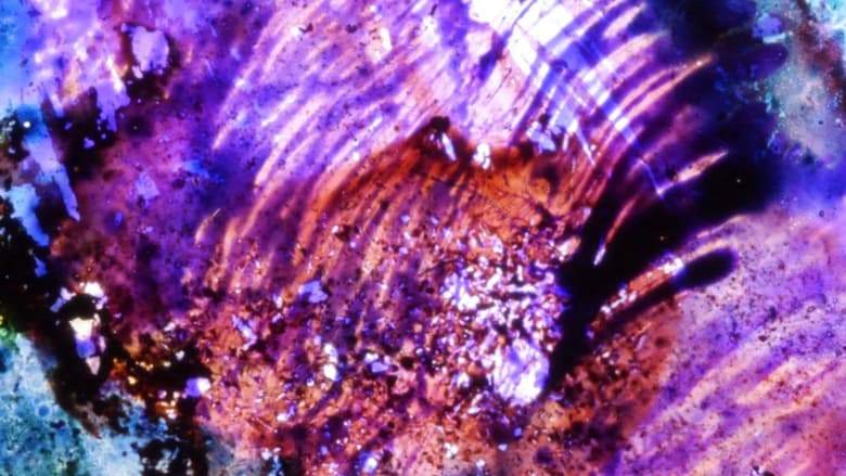 Elementary Phrases (1994)