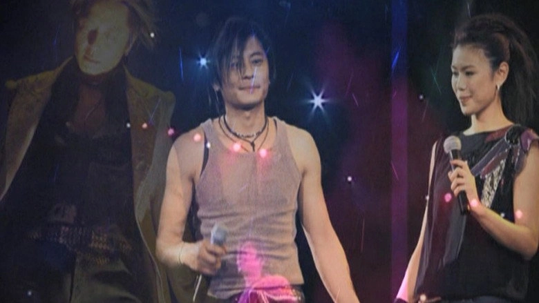 Wang Jie Concert 2001 (2001)