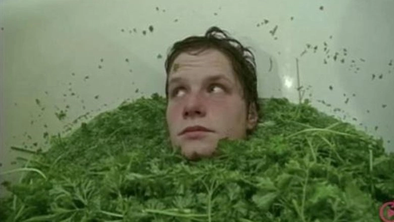 Parsley Days (2000)
