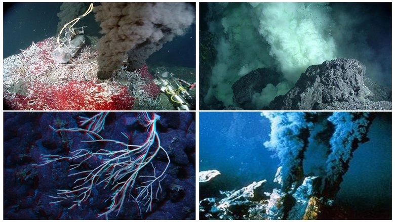 Volcanoes Of The Deep Sea (2003)