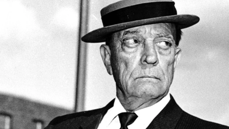 Buster Keaton Rides Again (1965)