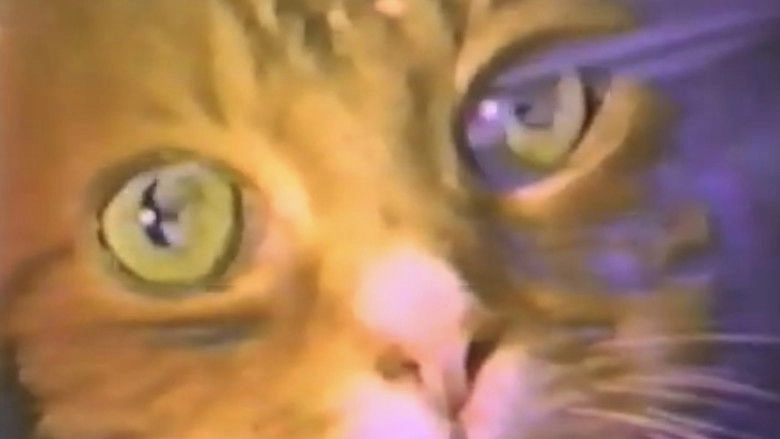 A Study In Scarlet (1987)