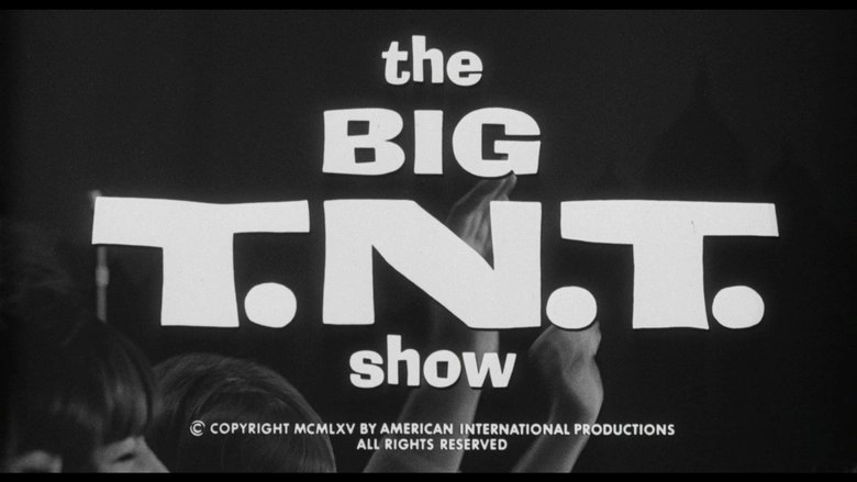The Big T.N.T. Show (1965)