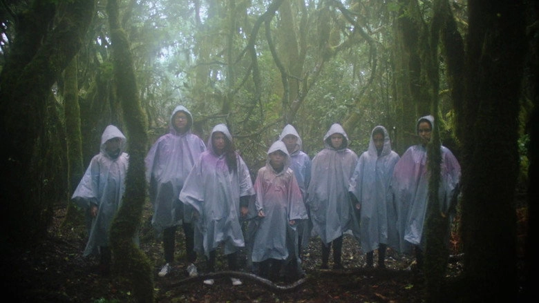 Common Birds (2019)