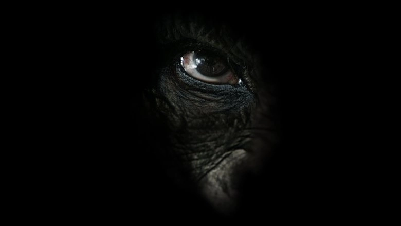 Rise Of The Warrior Apes (2017)