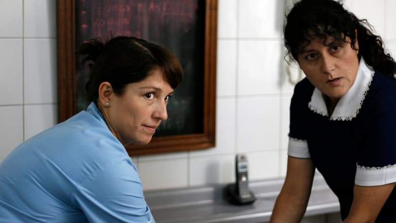 The Maid (2009)