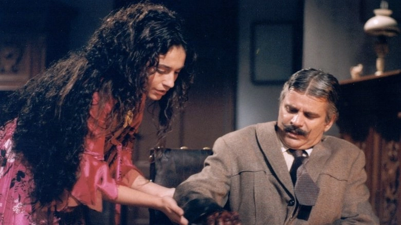 Krásná čarodějka (1991)